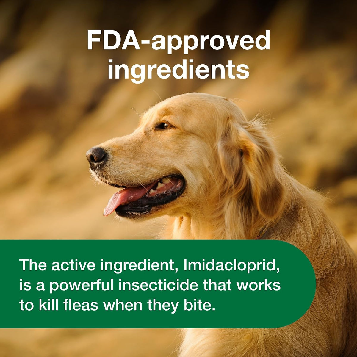 Advantus dog flea chewable tablet close up presentation