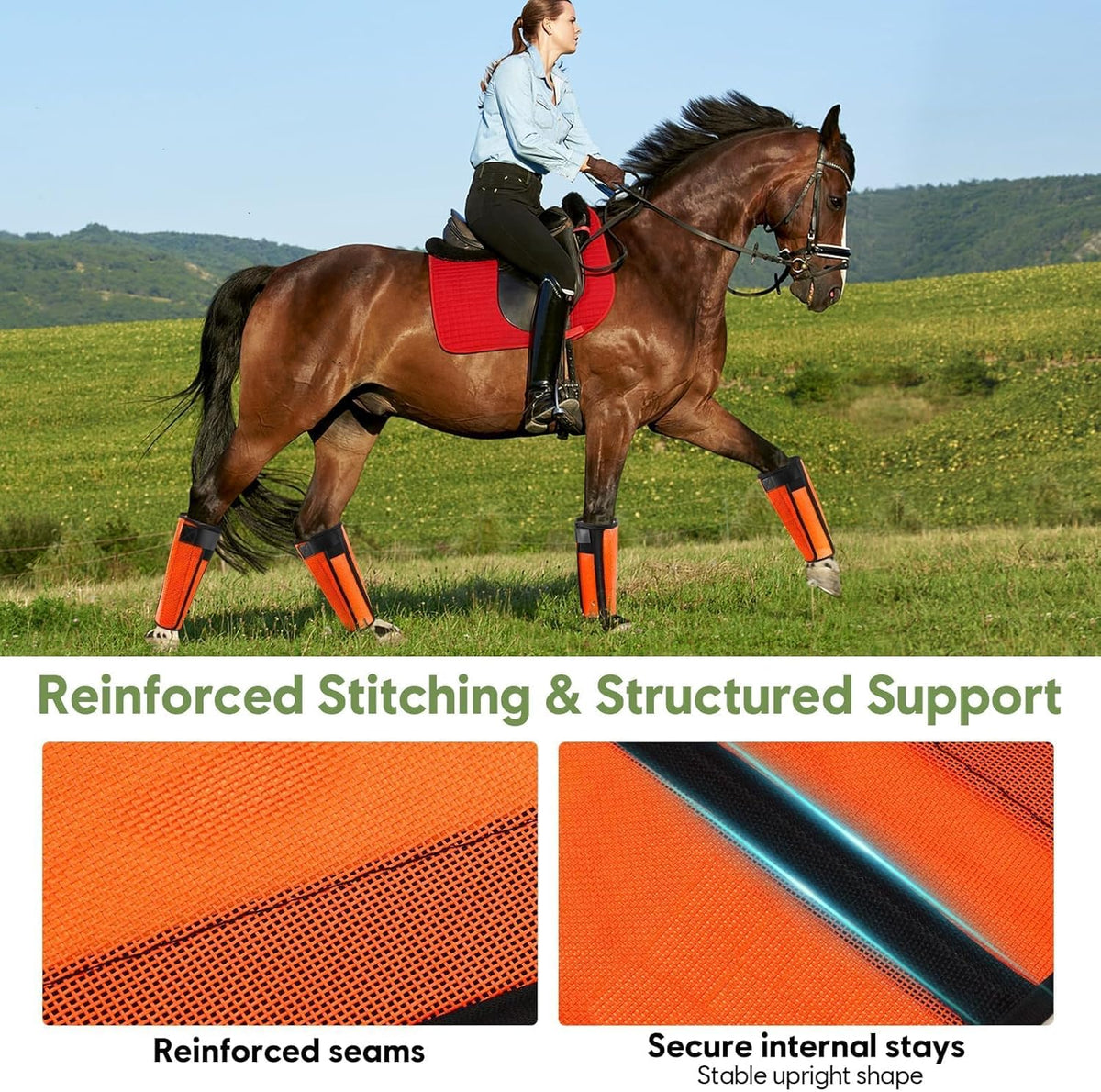 Four pack of orange equine leggings showing full leg coverage layout