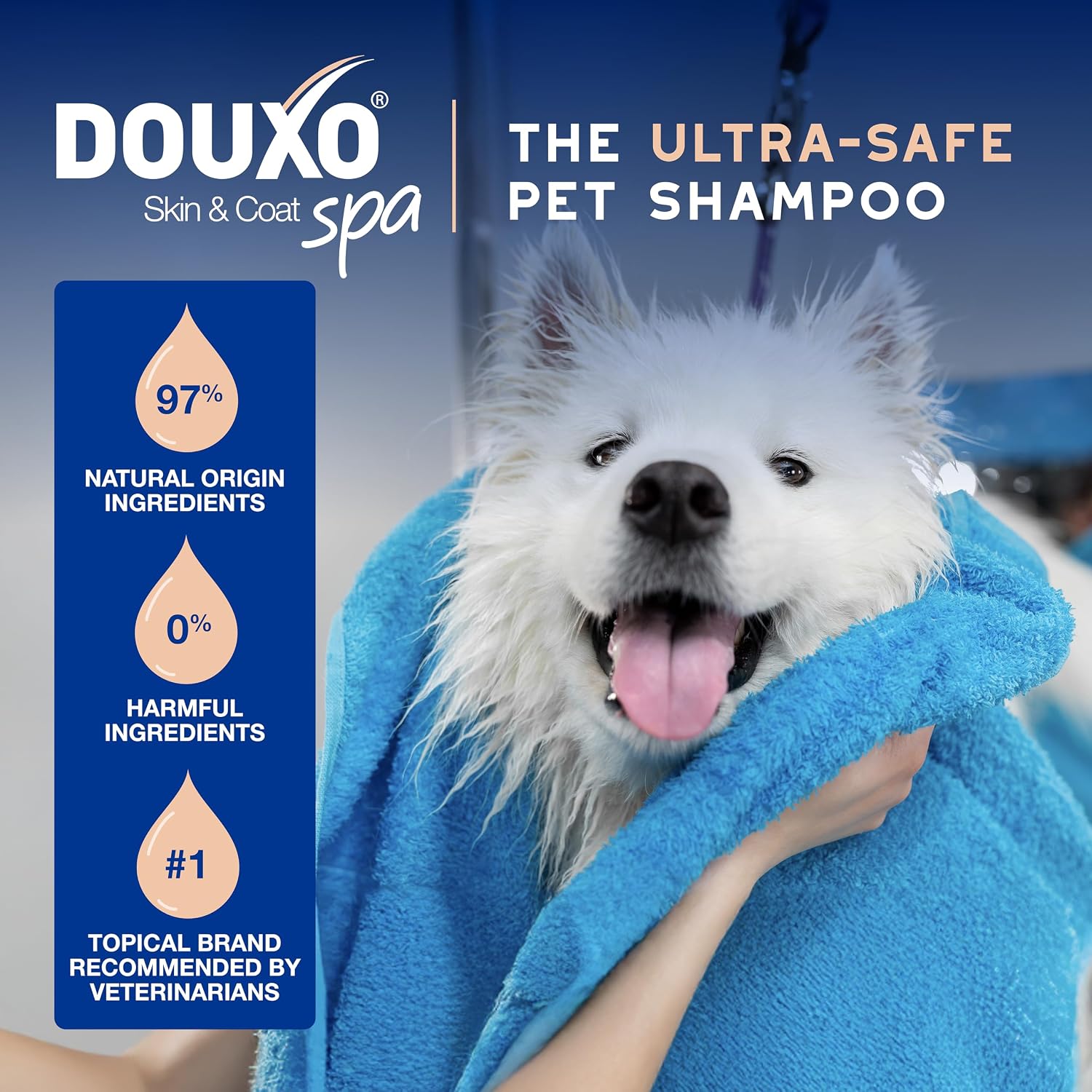 Douxo Spa dog shampoo texture and consistency