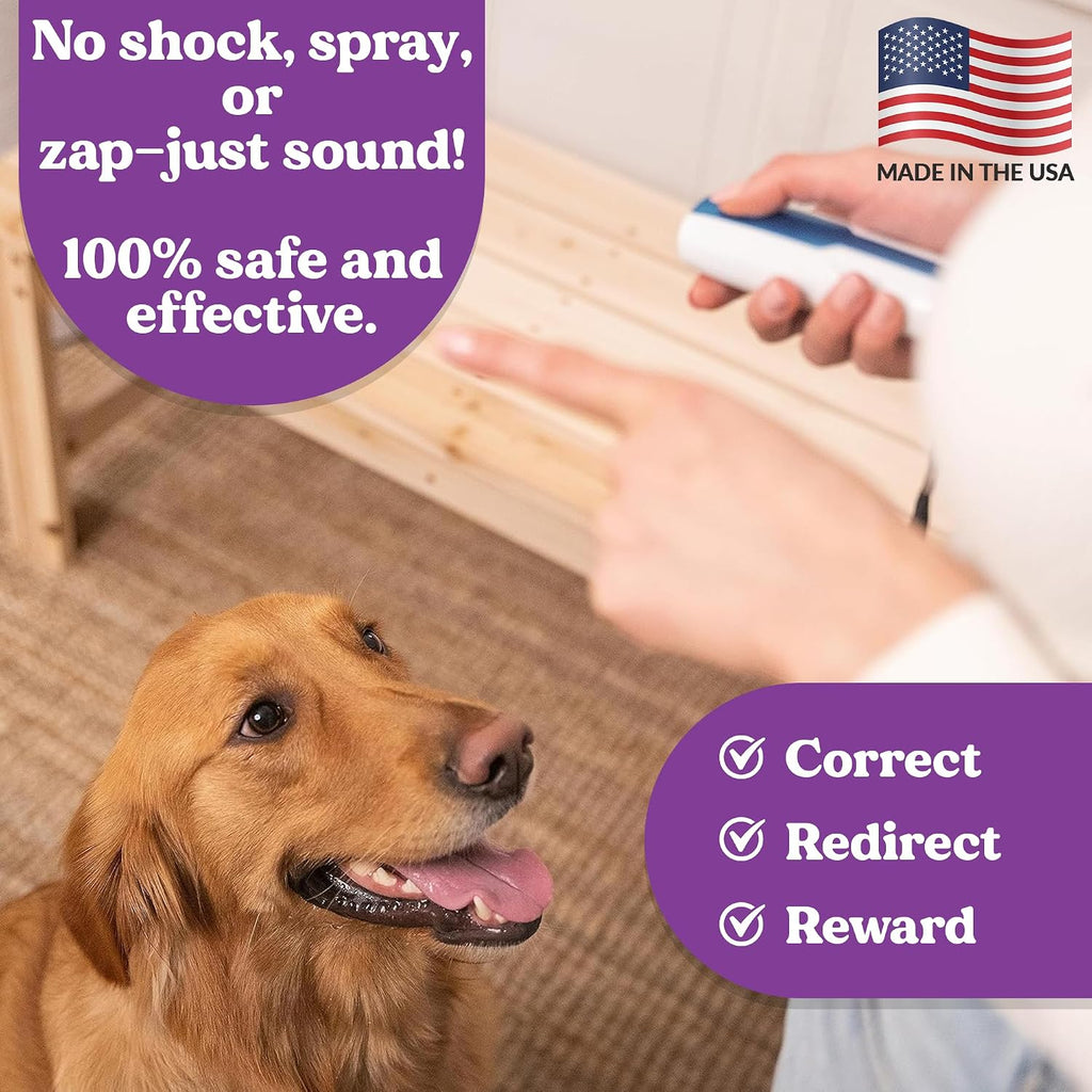 Doggie Don't dog training aid with wrist strap