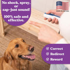 Doggie Don't dog training aid with wrist strap