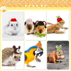 Assortment of animal and seasonal designs included in the 12-piece hat collection.