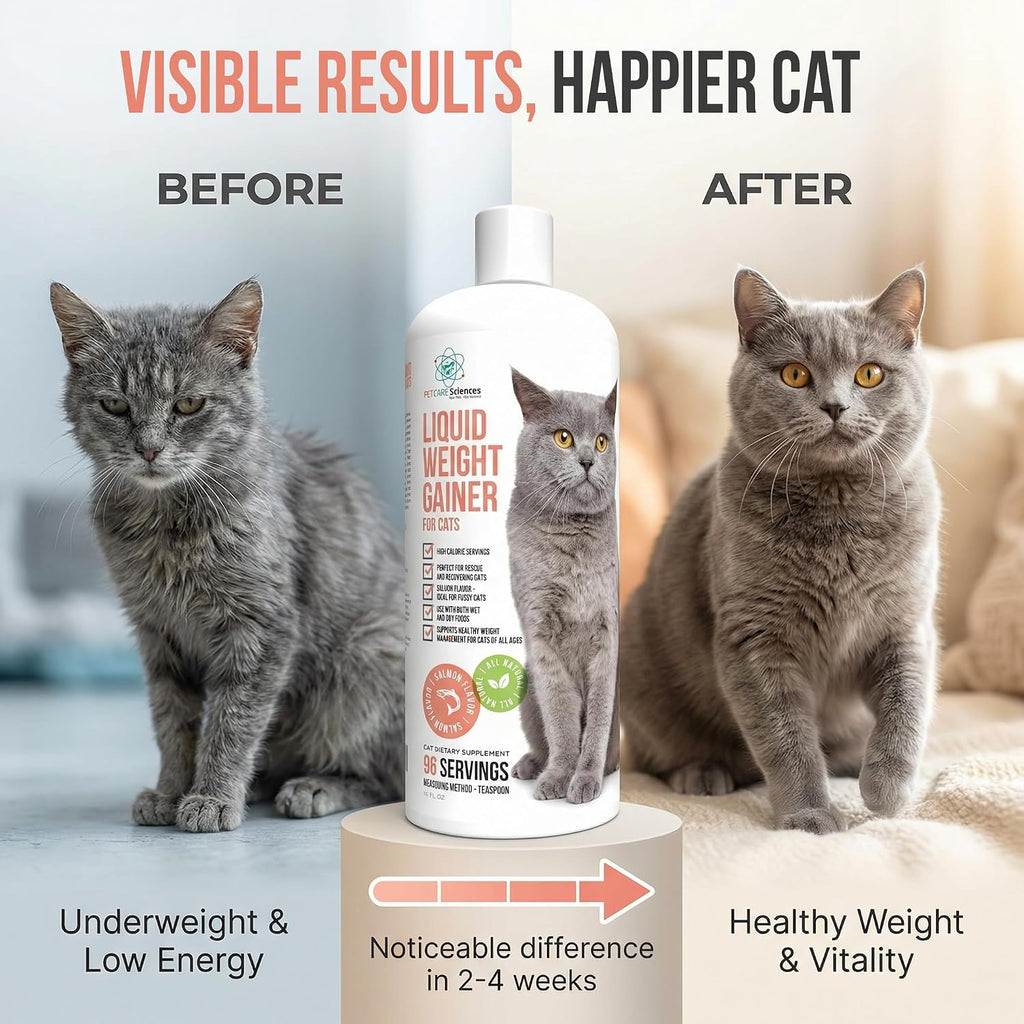 Pouring liquid weight gainer supplement onto dry cat food in a bowl