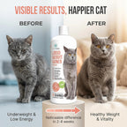 Pouring liquid weight gainer supplement onto dry cat food in a bowl