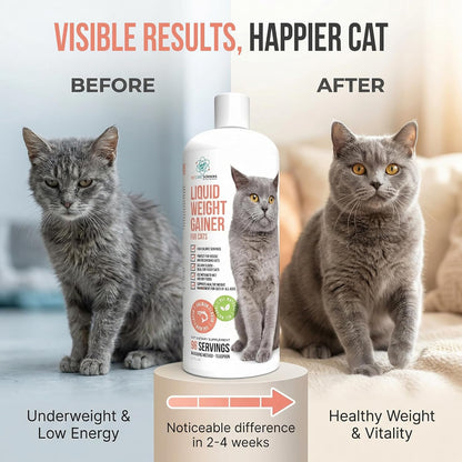 Pouring liquid weight gainer supplement onto dry cat food in a bowl