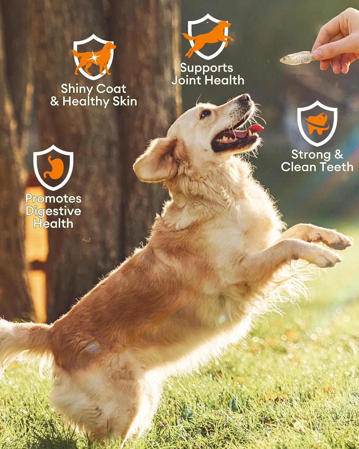 Side view of the 7 Ounce snack container emphasizing the grain-free and all-natural pet food formula.