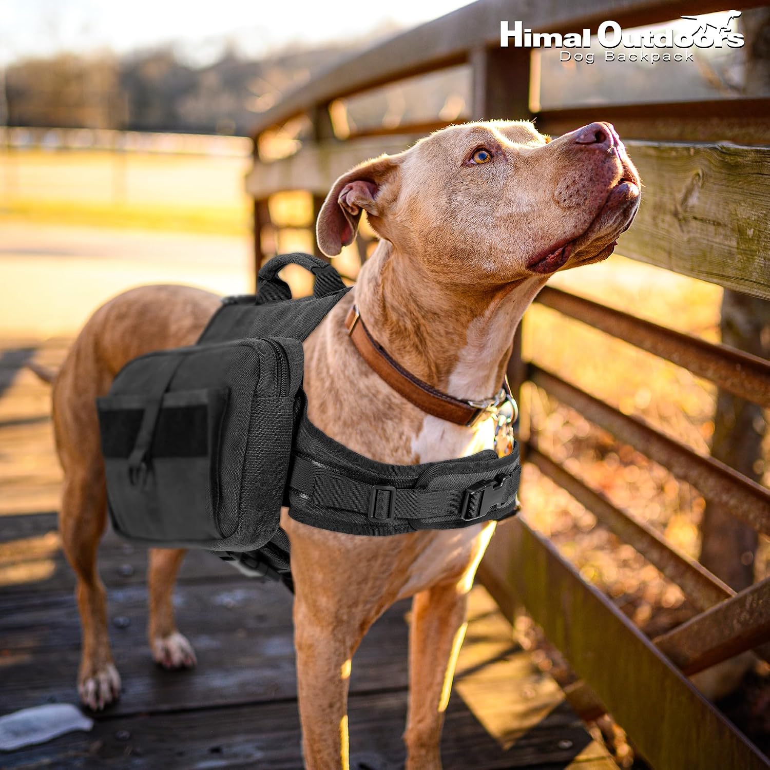 Himal Outdoors tactical pack loaded with pet gear on an outdoor trail