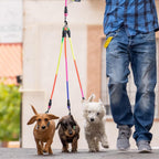 Detachable triple dog lead showcasing the 360 degree no tangle swivel mechanism