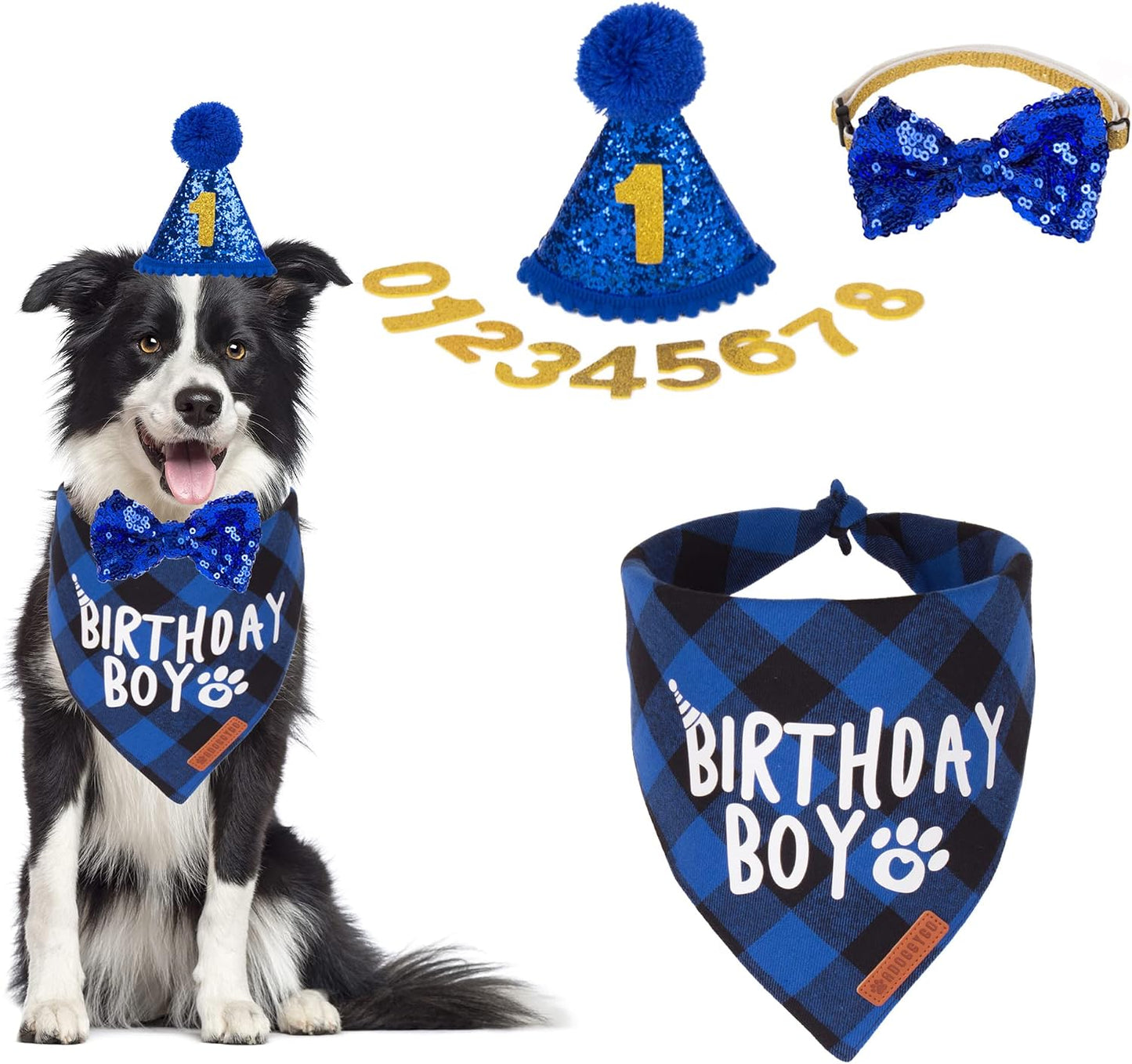 ADOGGYGO imported pet celebration accessories kit laid out for large dogs.
