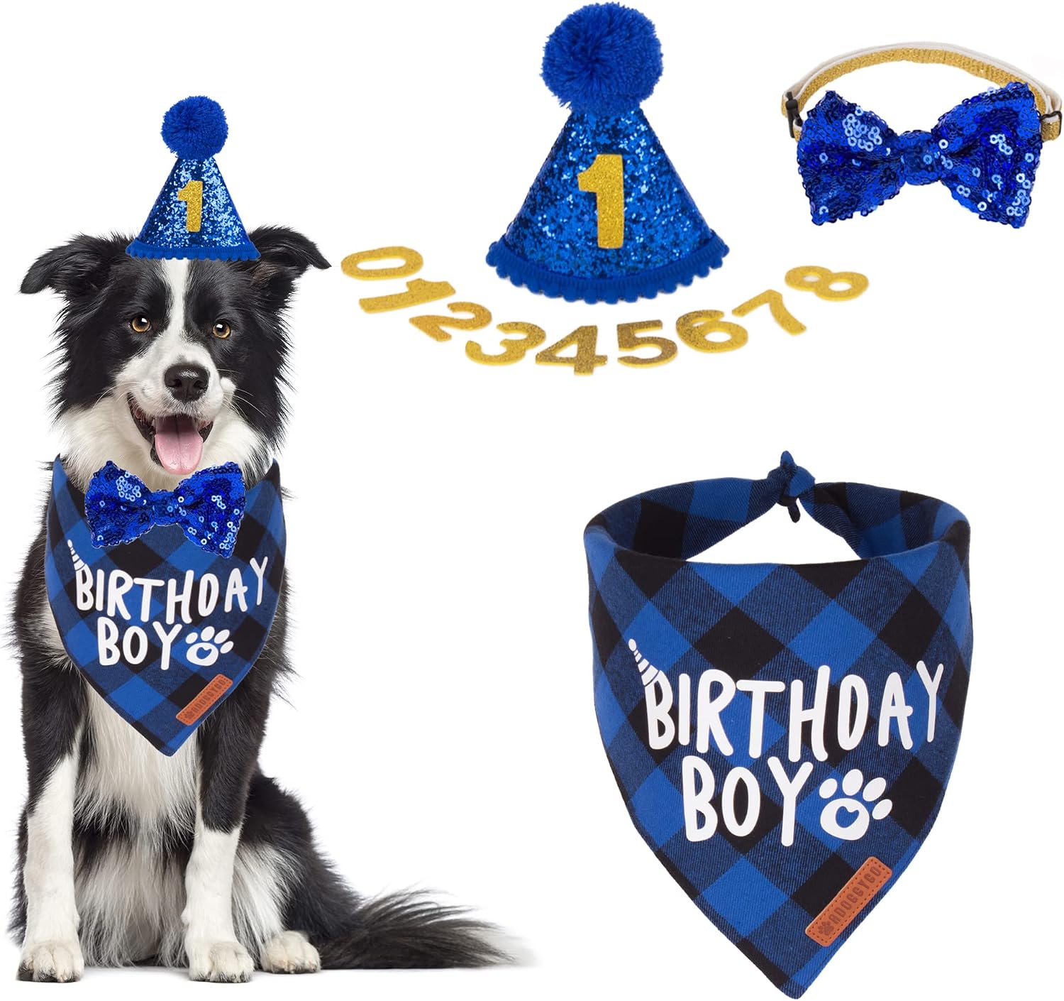 ADOGGYGO imported pet celebration accessories kit laid out for large dogs.