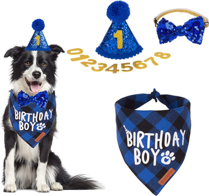 ADOGGYGO imported pet celebration accessories kit laid out for large dogs.