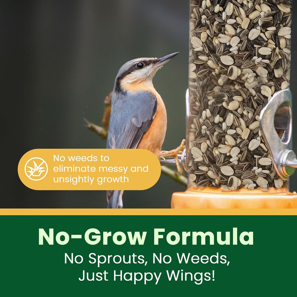 Clean patio feeder setup with happy wings bird mix
