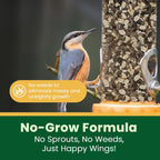 Clean patio feeder setup with happy wings bird mix