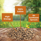 Side view of Kaytee 8 Pound wild bird food bag packaging