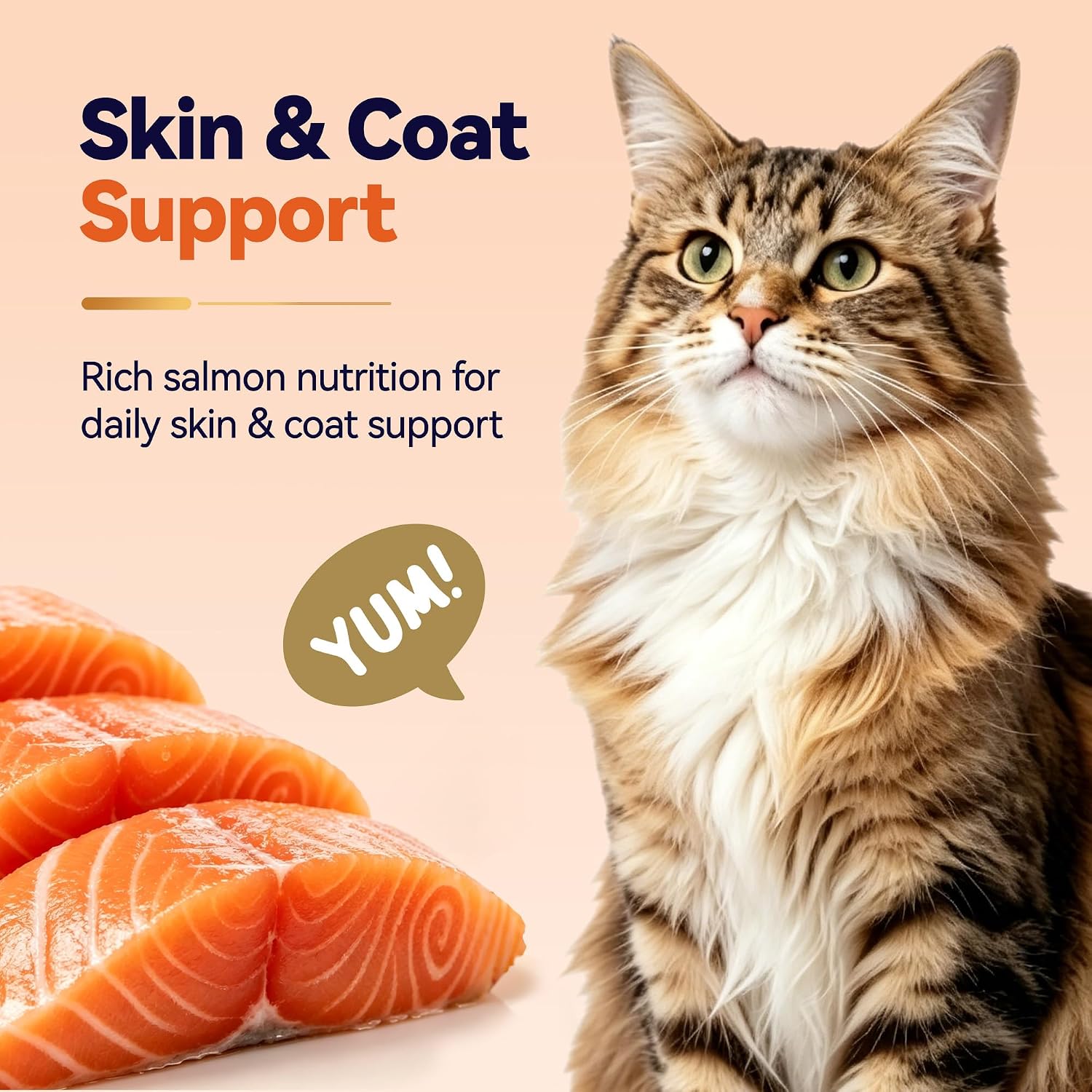 Single ingredient salmon chunks for cat skin and coat health support