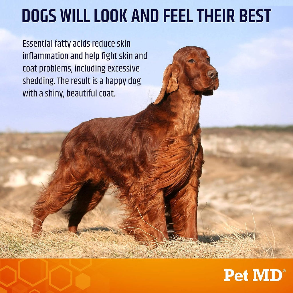 Dog skin and coat supplement soft chews for allergy relief