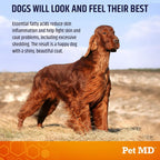 Dog skin and coat supplement soft chews for allergy relief