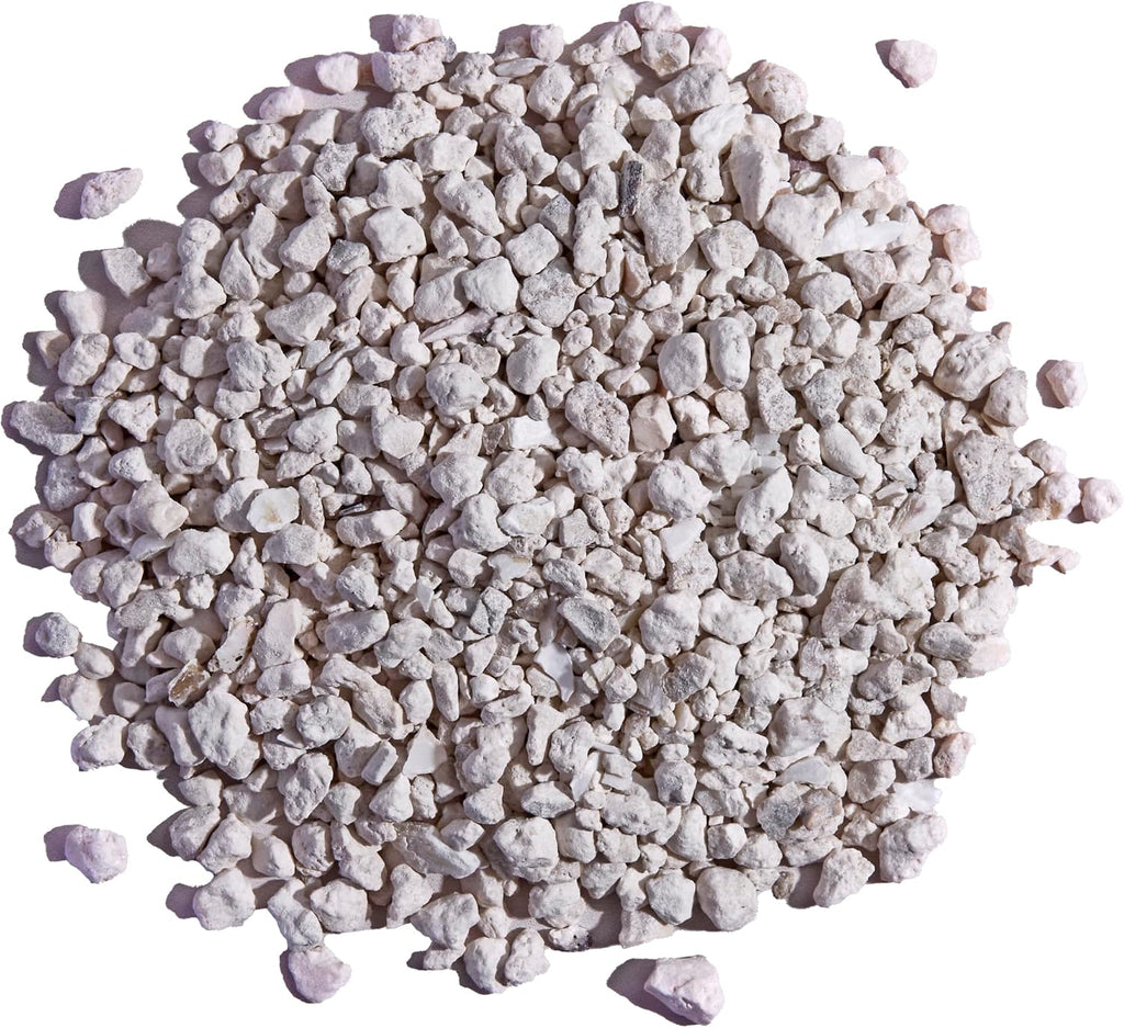 Pecking Order oyster shell container for backyard poultry