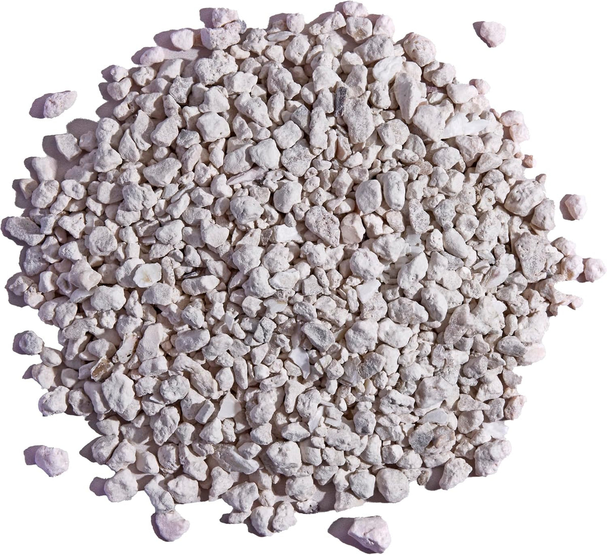 Pecking Order oyster shell container for backyard poultry