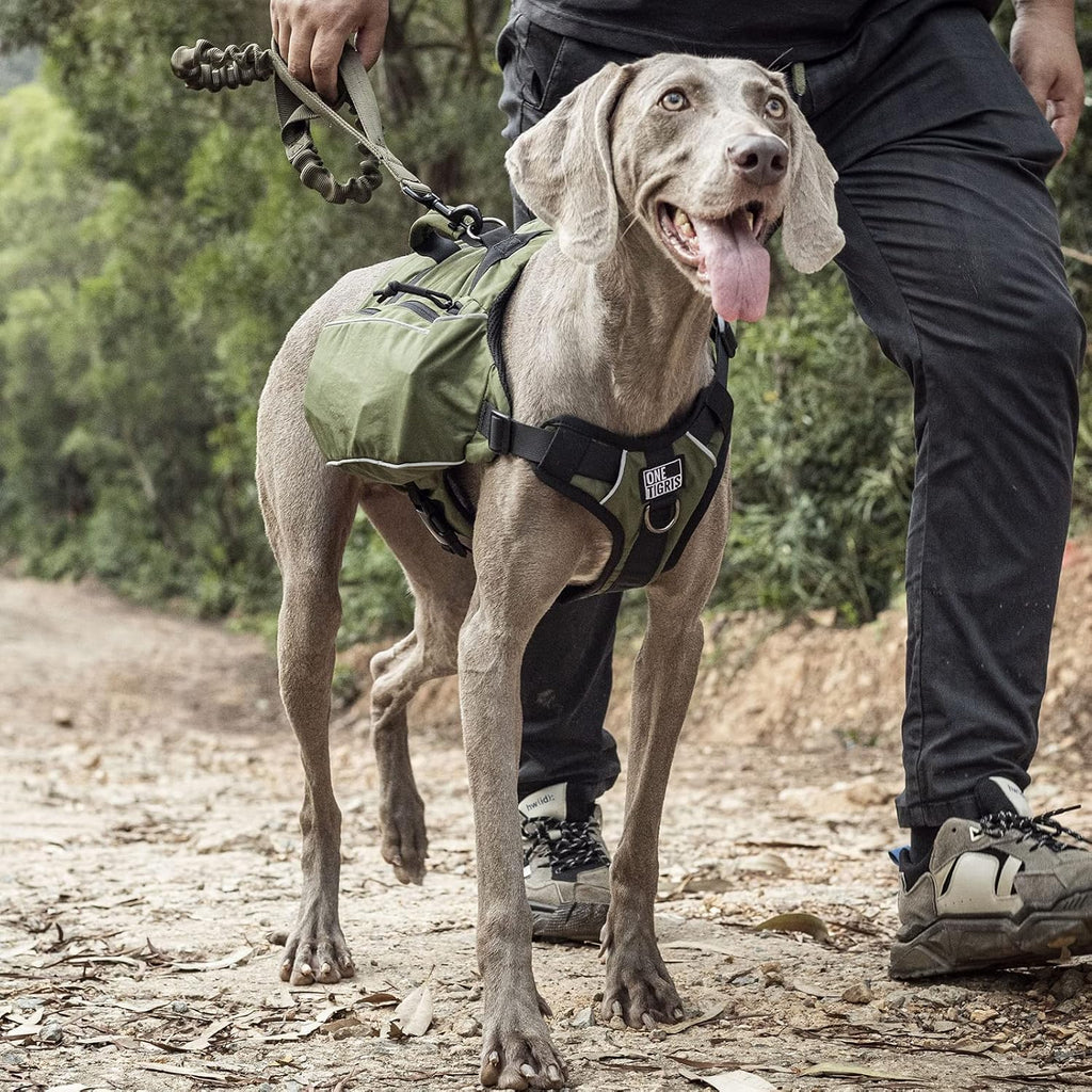 OneTigris tactical dog vest laid flat demonstrating the symmetry of the expandable side packs.
