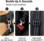 Ortarco dog seat belt elastic bungee close up