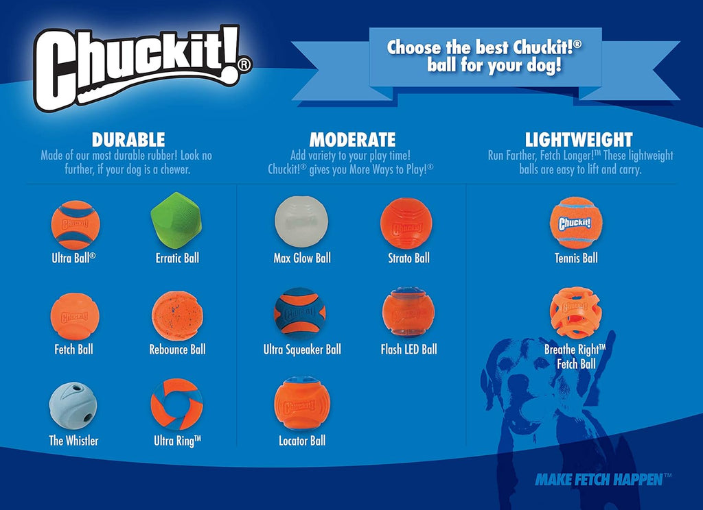 Dog playing with Chuckit! Max Glow ball outdoors