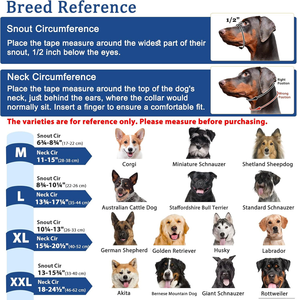 Reflective dog training collar for night walking safety