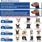 Reflective dog training collar for night walking safety