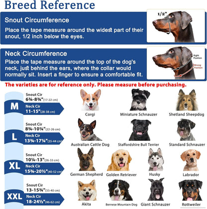 Reflective dog training collar for night walking safety