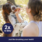 Nutrition facts label on the Ark Naturals Fortify brushless toothpaste bag