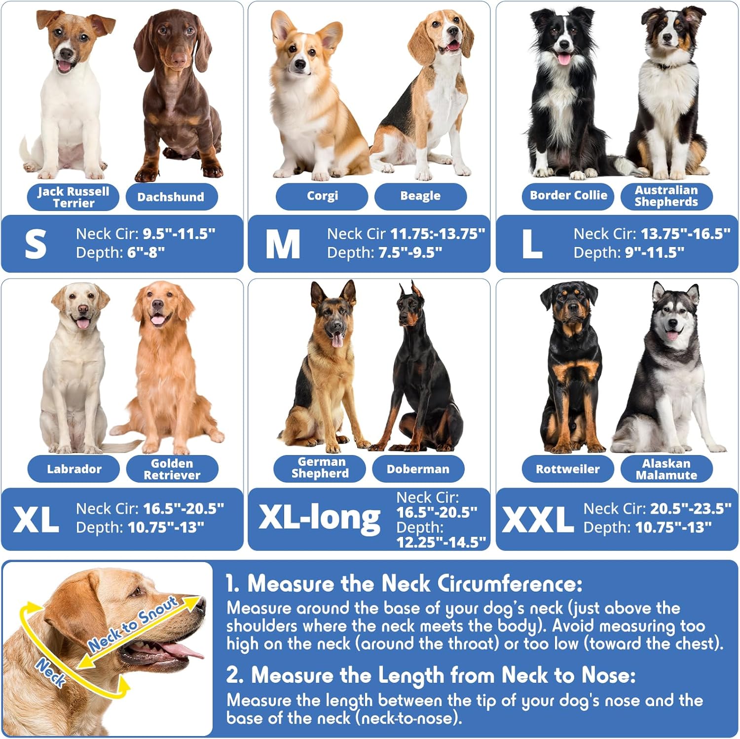 Didopet transparent recovery collar close up of soft neck padding protection