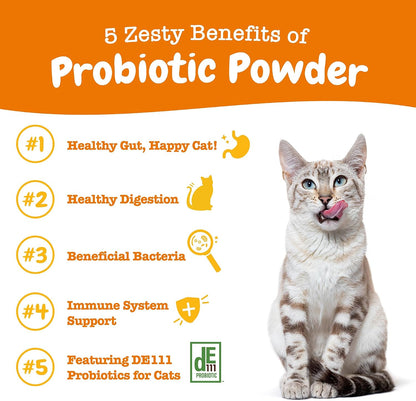 Premium cat probiotic powder pumpkin flavor single-serve packets for digestive wellness.