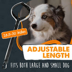 Mighty Paw safety leash for dogs in car