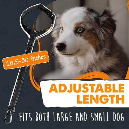 Mighty Paw safety leash for dogs in car