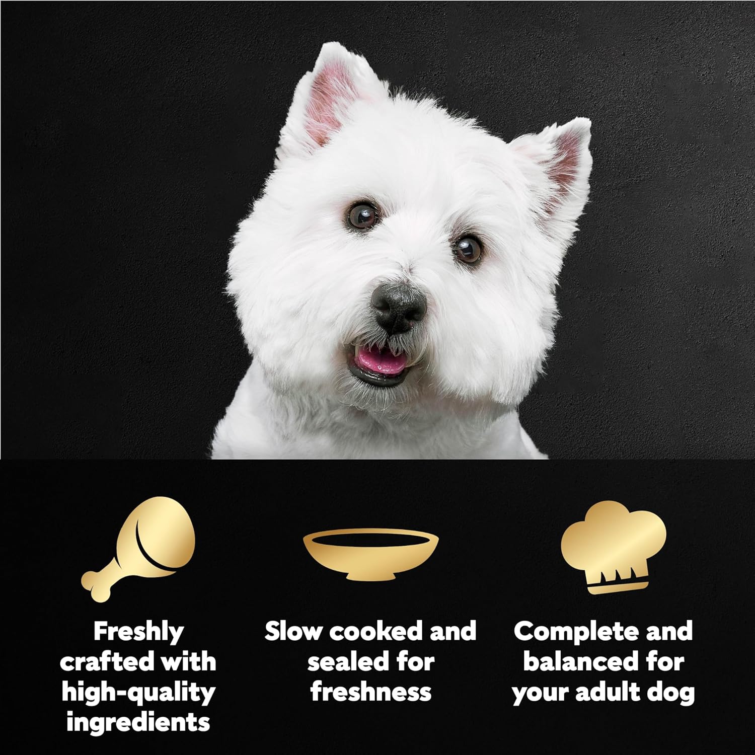 Cesar wet dog food pouches showing Rotisserie Chicken flavor label