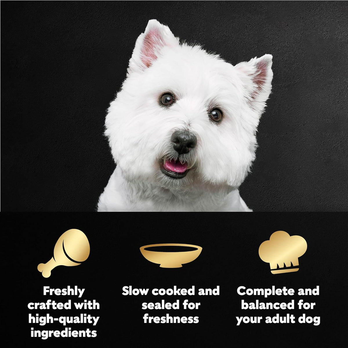 Cesar wet dog food pouches showing Rotisserie Chicken flavor label