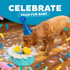Festive puppy photoshoot prop cake toy for birthday celebrations