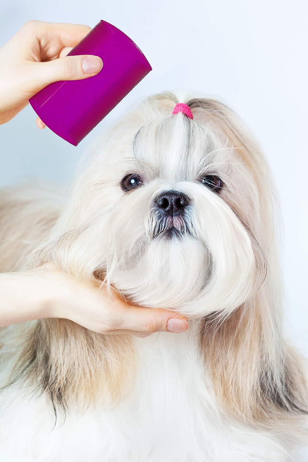 Multicolor Pets First flea removal tools for cats and dogs