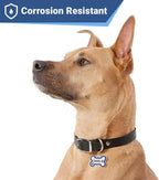 GoTags authentic imported USA pet safety identification bone tag with deep laser etching