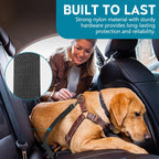 Dog secured in car using Tytdouter heavy duty seat belt