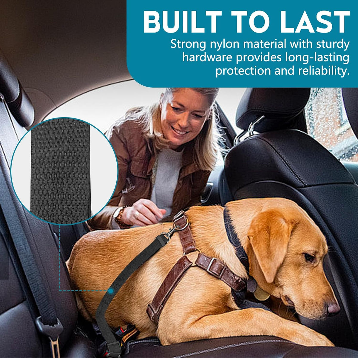 Dog secured in car using Tytdouter heavy duty seat belt