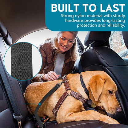 Dog secured in car using Tytdouter heavy duty seat belt