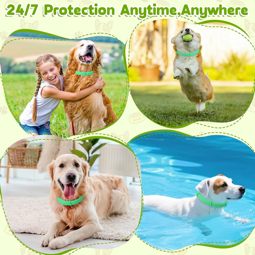 Side profile of dog wearing Monipgu flea and tick collar