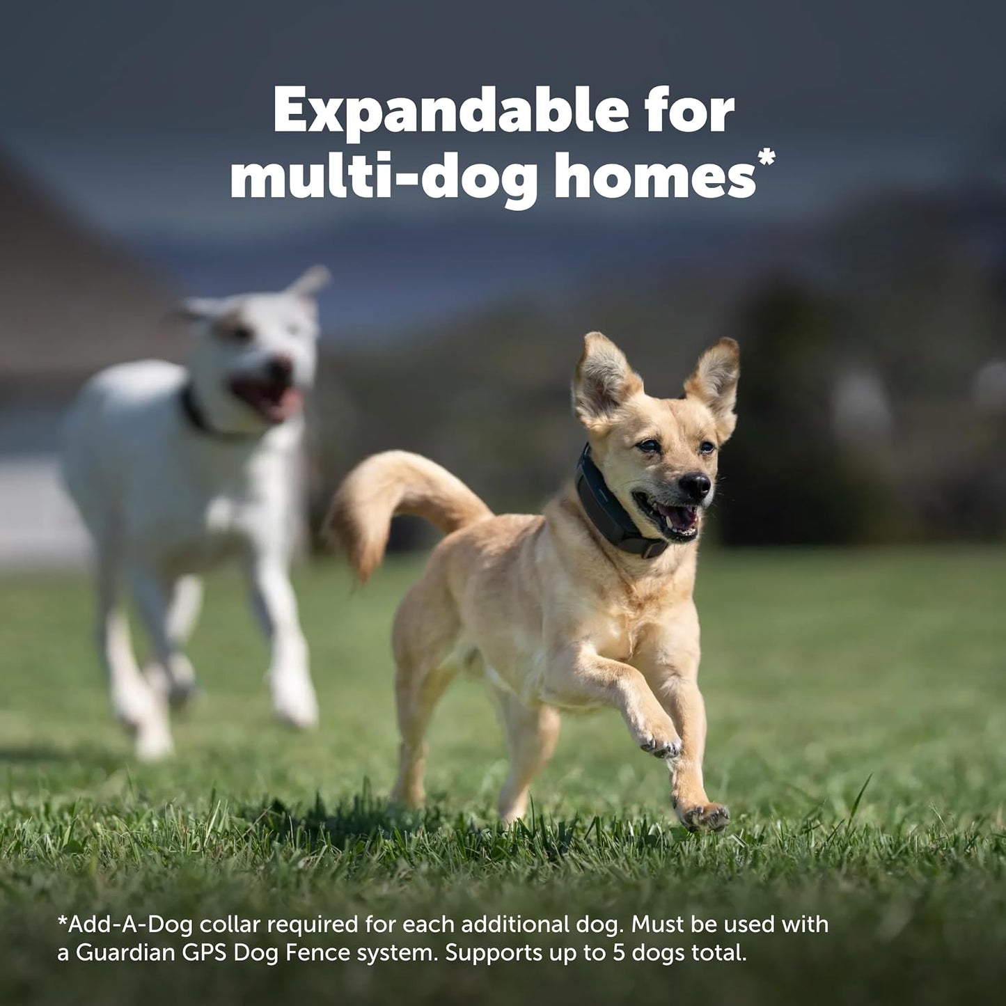 PetSafe Guardian GPS Dog Fence No Subscription Create Your Own Wireless Dog Fence Single-Yard Fence for Yards 3/4 Acres or Larger World's Safest GPS Dog Fence Tech New, Redesigned Collar - Image 9