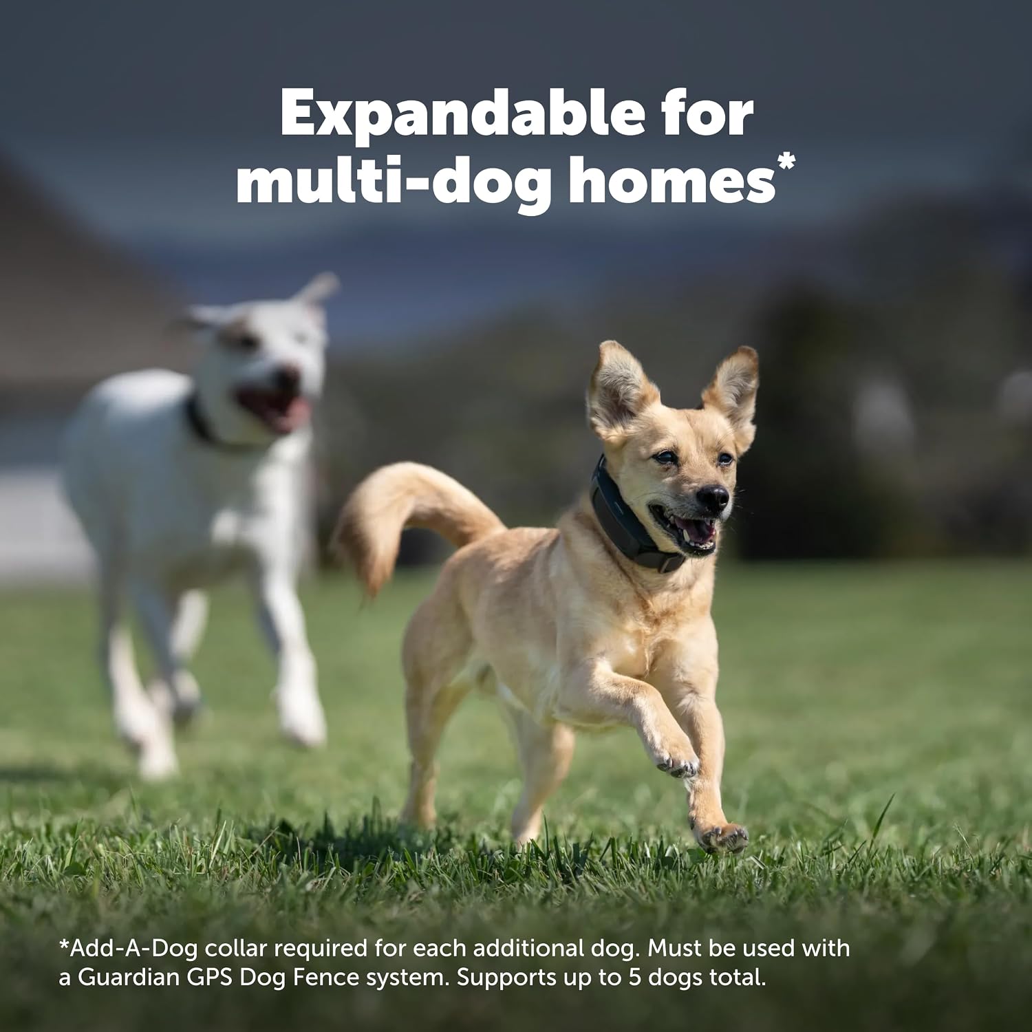 PetSafe Guardian GPS Dog Fence No Subscription Create Your Own Wireless Dog Fence Single-Yard Fence for Yards 3/4 Acres or Larger World's Safest GPS Dog Fence Tech New, Redesigned Collar - Image 9