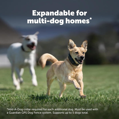 PetSafe Guardian GPS Dog Fence No Subscription Create Your Own Wireless Dog Fence Single-Yard Fence for Yards 3/4 Acres or Larger World's Safest GPS Dog Fence Tech New, Redesigned Collar - Image 9