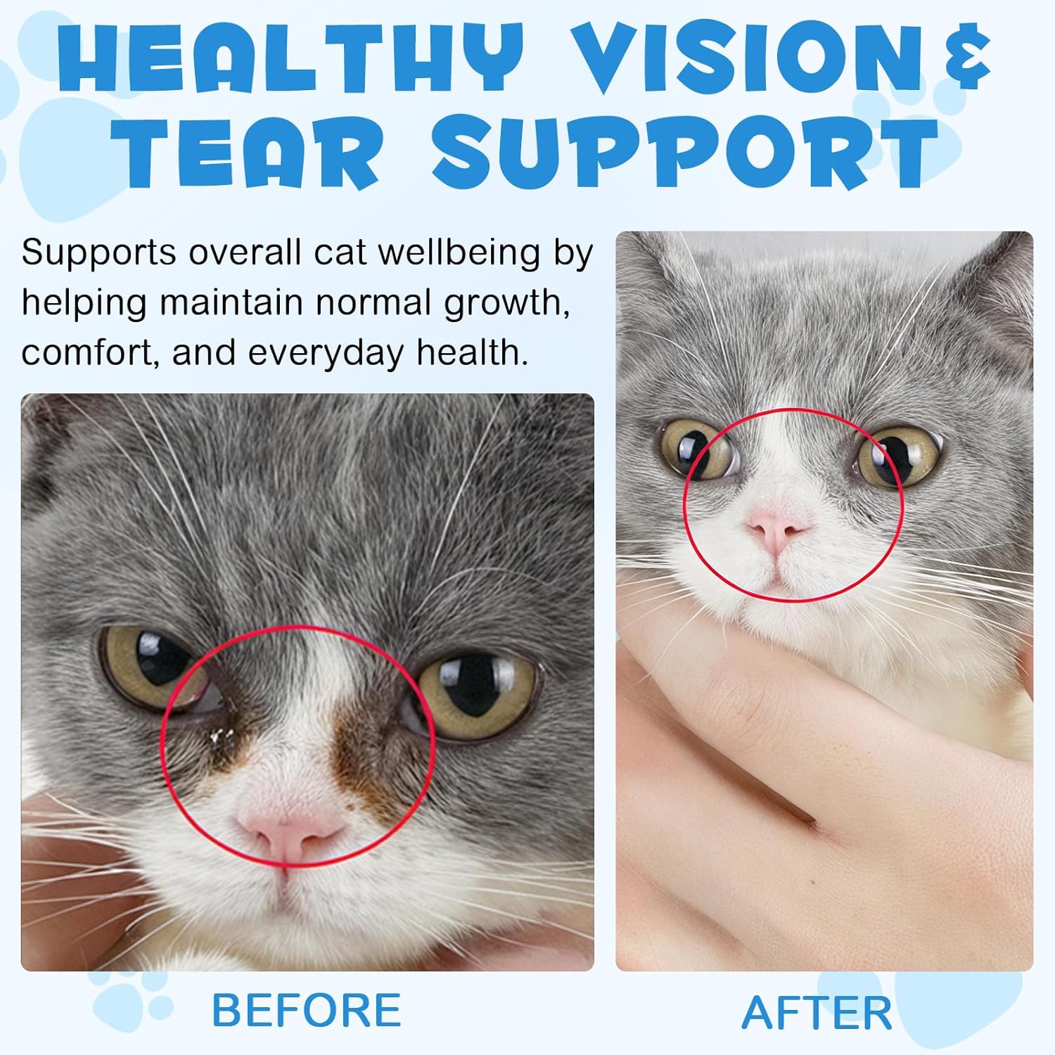 ALIVO L-Lysine for Cats, Immune Support Drops for Cats Feline Respiratory Health, Sneezing & Runny Nose - Pet Liquid Supplement for Eye Function & Cat Cold Relief - Chicken Flavor, 2 fl oz / 60 ml - Image 9