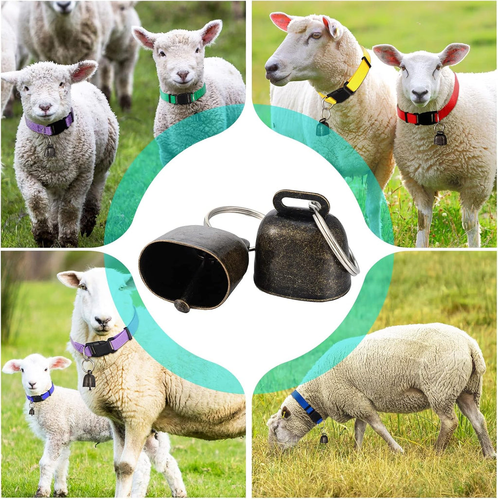 Patelai twelve pack goat collar set packaged display