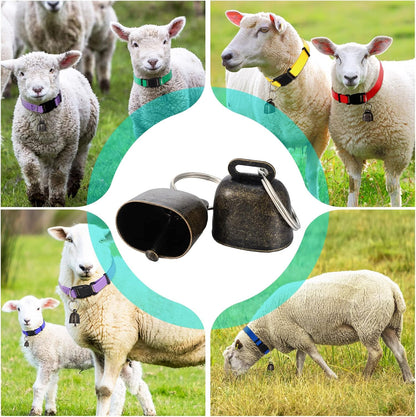 Packaging layout of the 12 pack Patelai livestock tracking accessories highlighting the fresh color assortment.