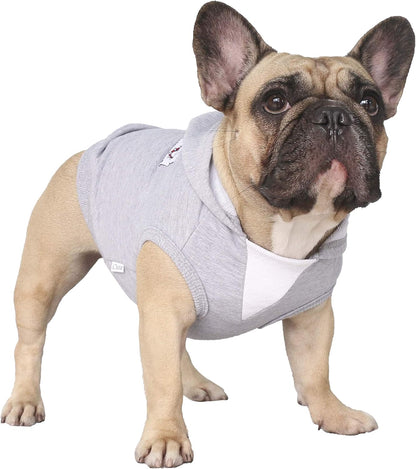 Stylish American Bully clothes extra large size laying flat.